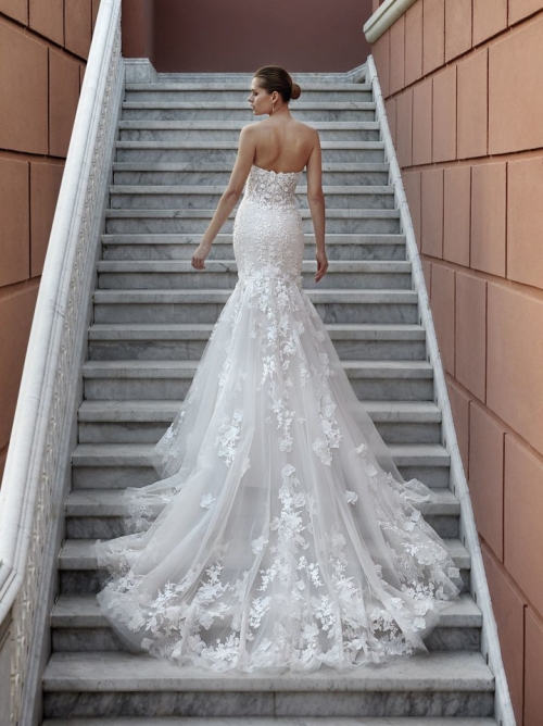 Demetrios 1217 - Back
