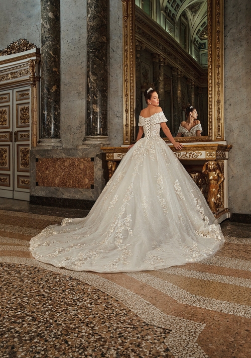 Demetrios DP453 - Back