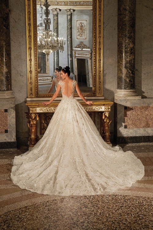 Demetrios DP460 - Back
