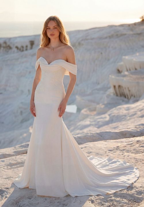 Elegant Off-the-Shoulder Fit and Flare Wedding Dress with Draped Sleeves