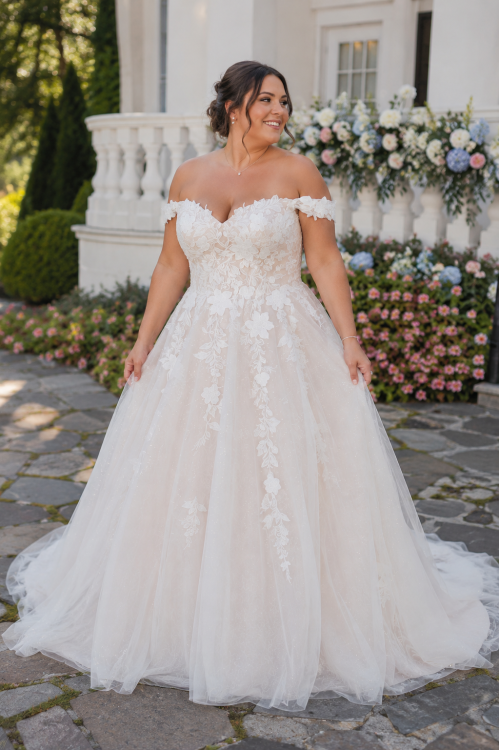 Plus Size Off-the-Shoulder Lace A-Line Wedding Dress