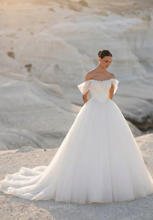 Romantic Off-the-Shoulder A-Line Tulle Wedding Dress with Floral Lace Bodice